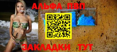 шишки Бердск
