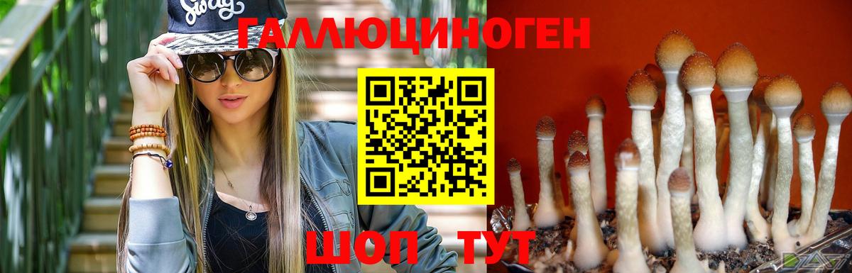 Галлюциногенные грибы GOLDEN TEACHER  Вход с VPN  Киселёвск 